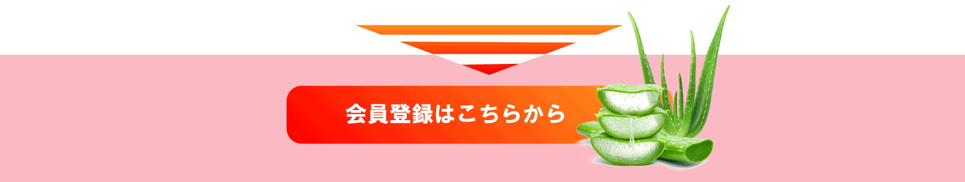 登録ボタン